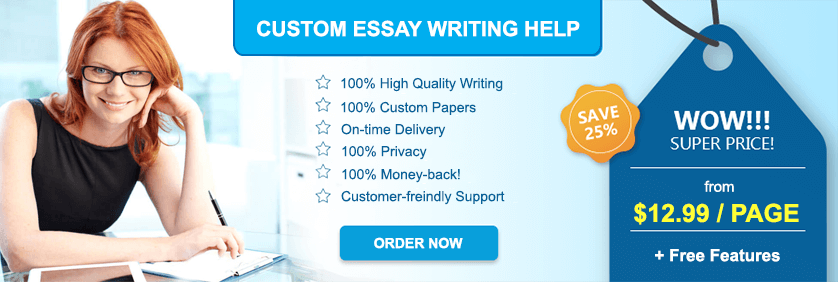 Custome Essay Writing Help Price